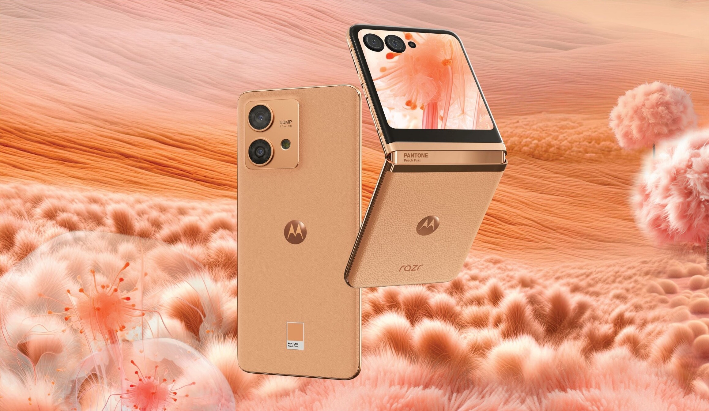 Motorola pantone color of the year 2024- peach fuzz